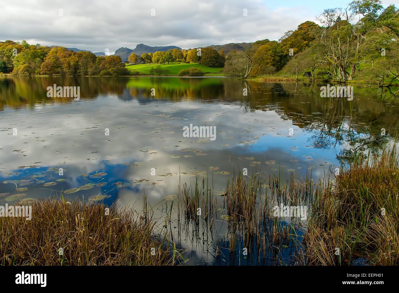 Loughrigg in the Lake District National Park, Cumbria Stock Photo