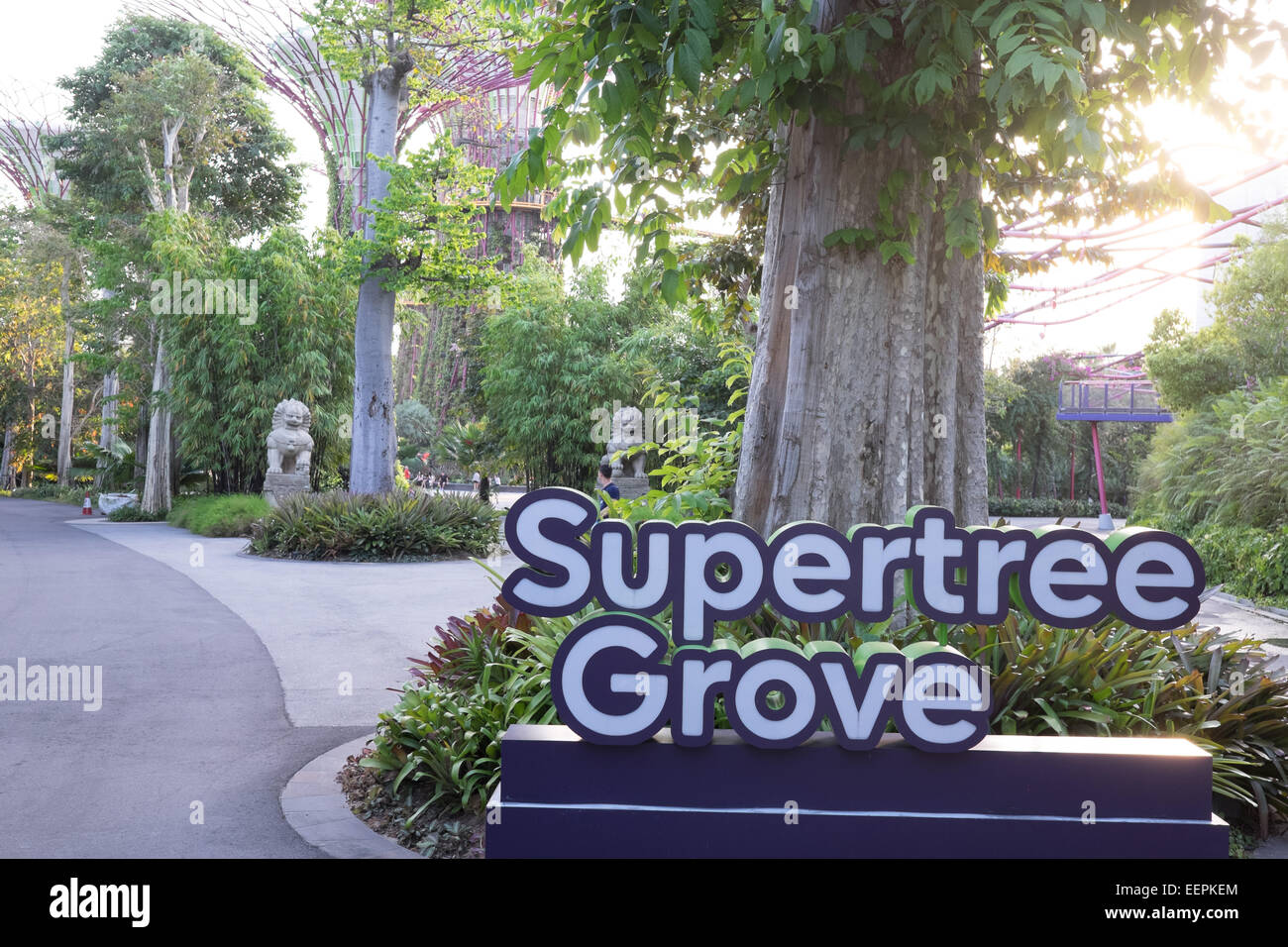 Gardens by the Bay and Super Tree Grove, Marina Bay, Singapore. Stock Photo