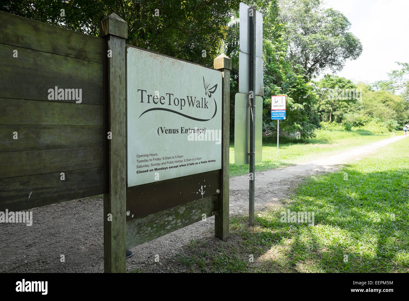 Singapore Tree Top nature walk. Stock Photo