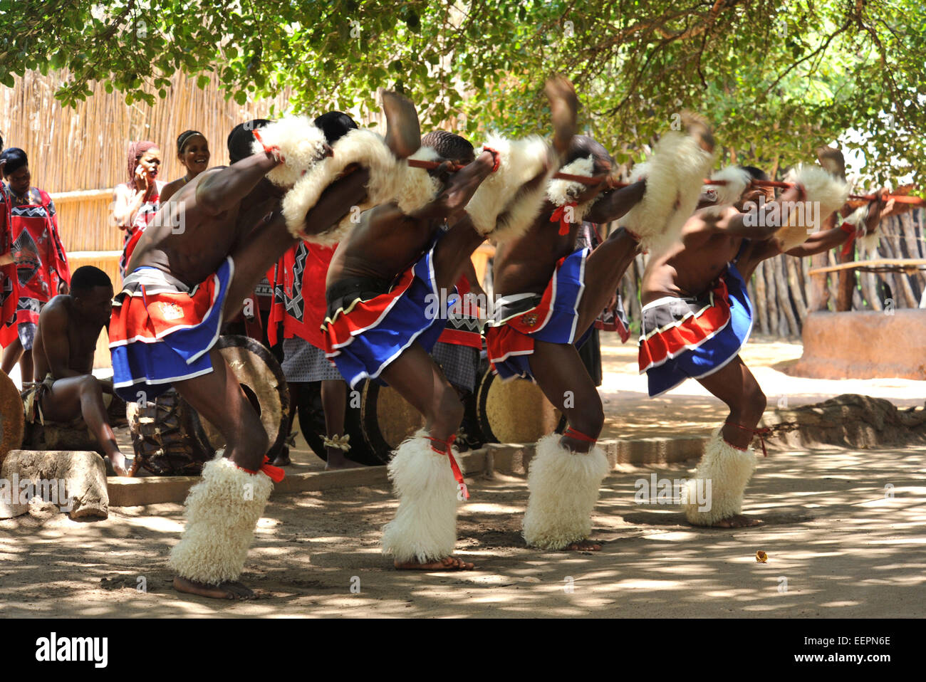 Matsamo, Swaziland, group of Swazi male traditional dancers perform synchronised high kick during war dance tourists at Matsamo Swaziland Cultures Stock Photo