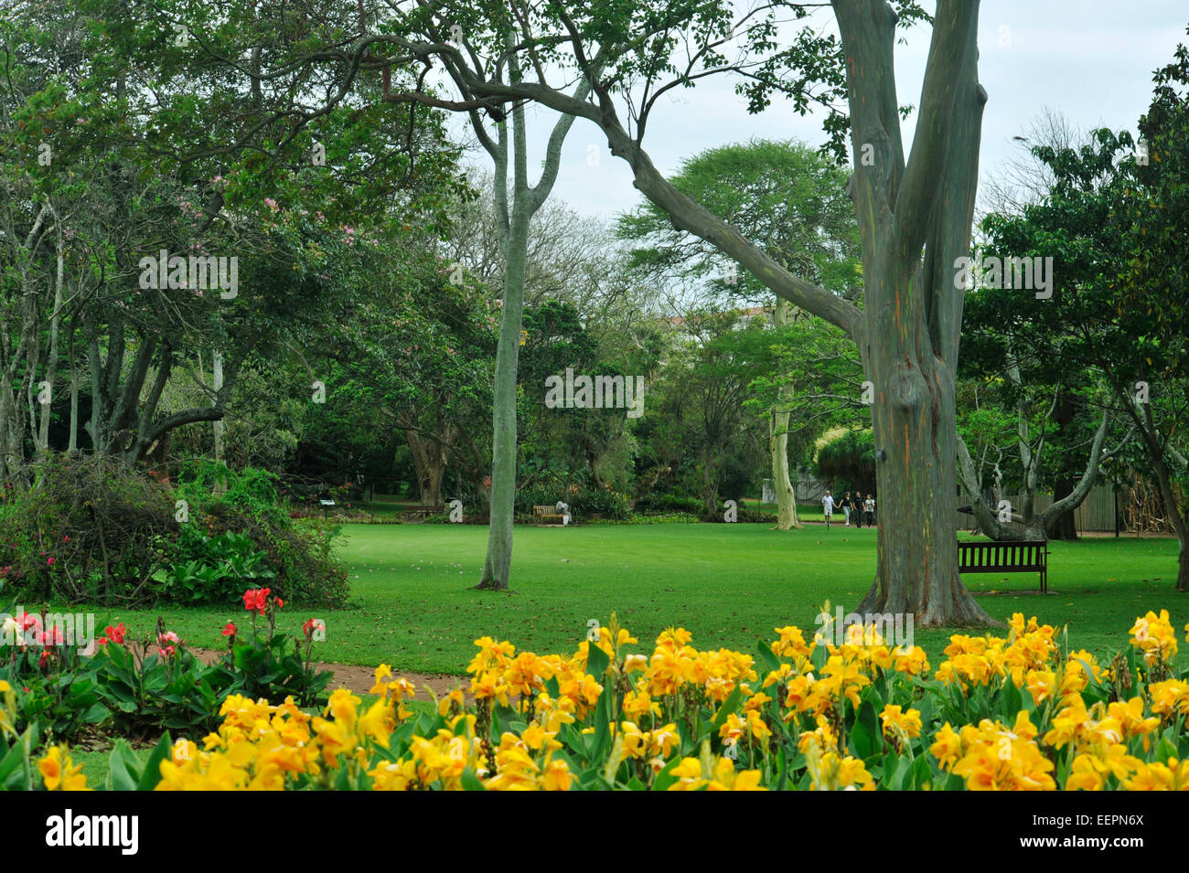 Durban Botanical Gardens High Resolution Stock Photography and Images