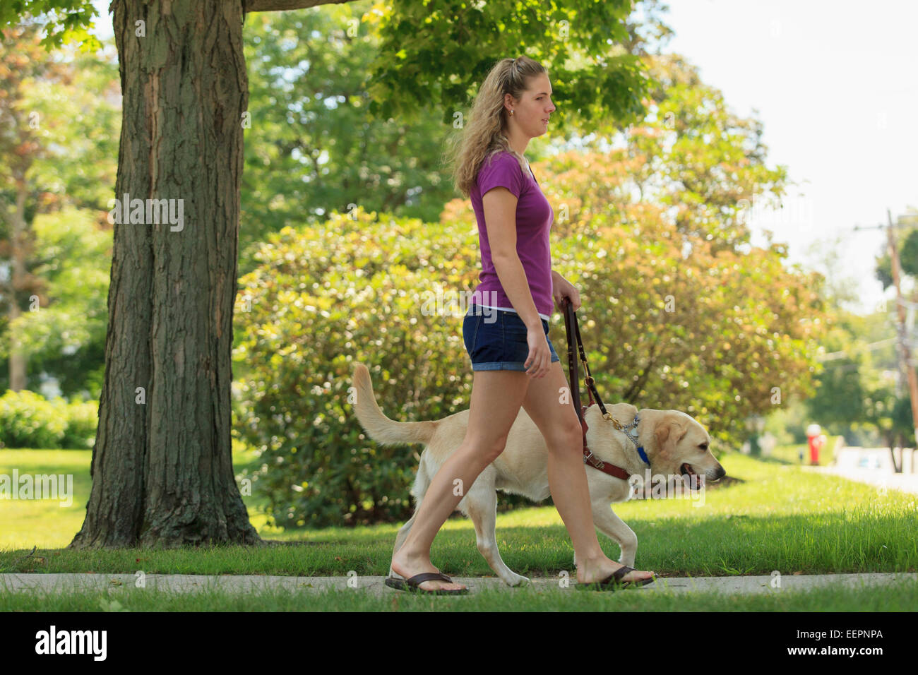 Woman with visual impairment walking with her service dog Stock Photo