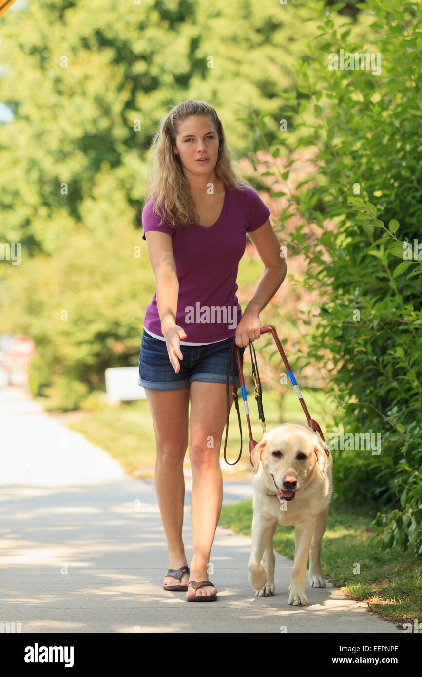 Woman with visual impairment directing her service dog to turn Stock ...