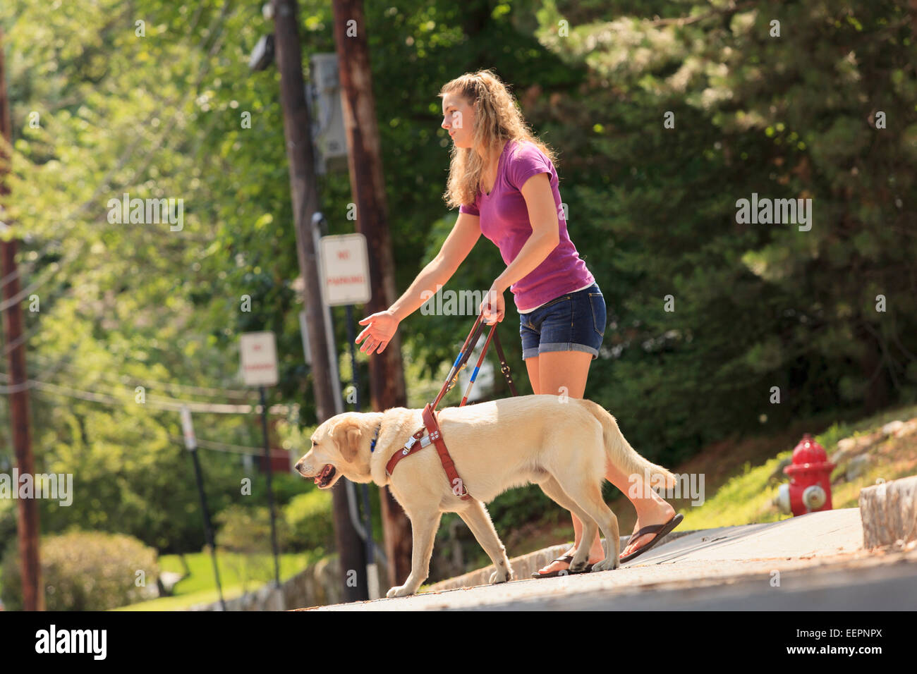 Student with visual impairment directing her service dog to turn Stock Photo