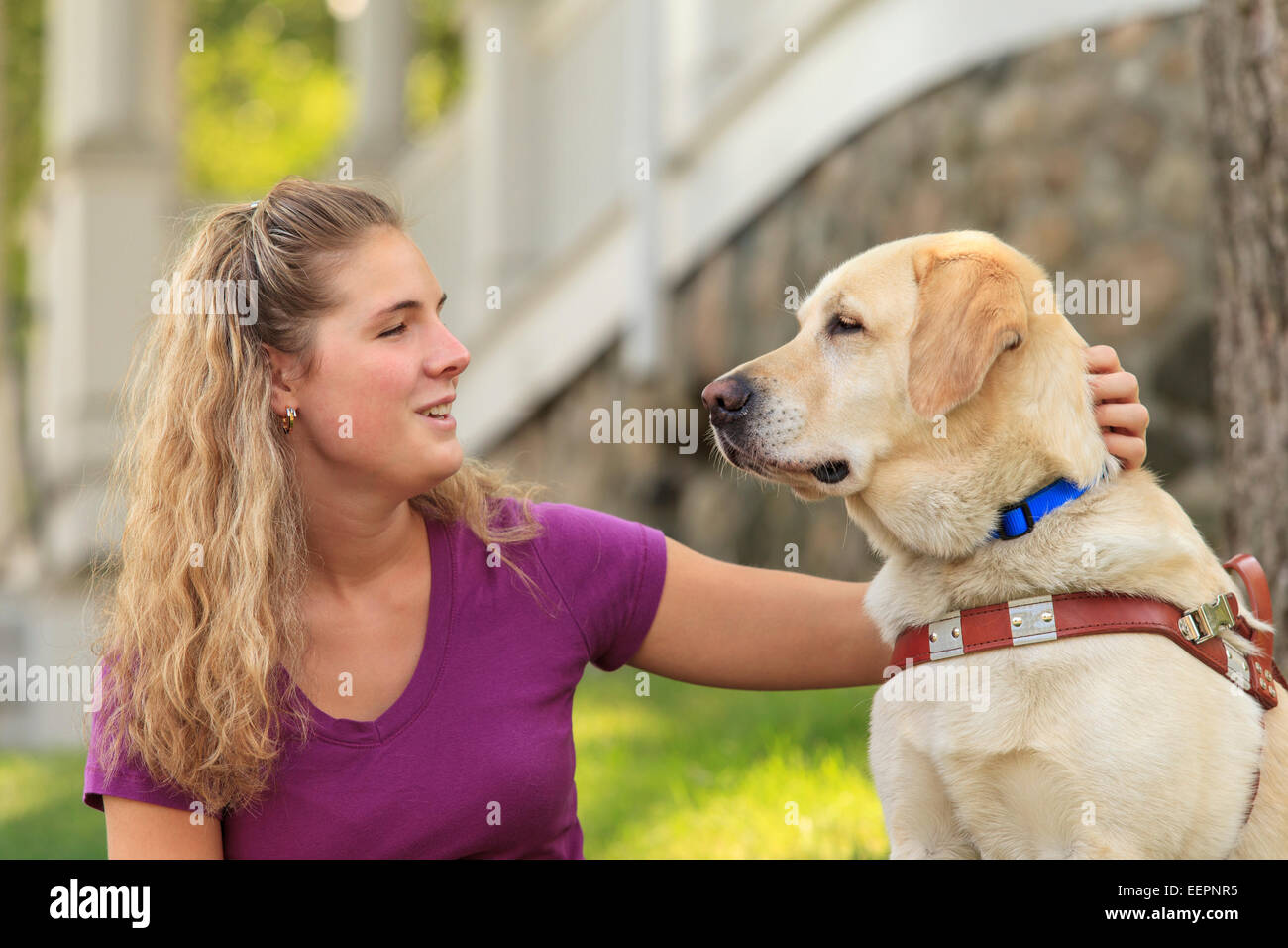 Woman with visual impairment petting her service dog Stock Photo Alamy