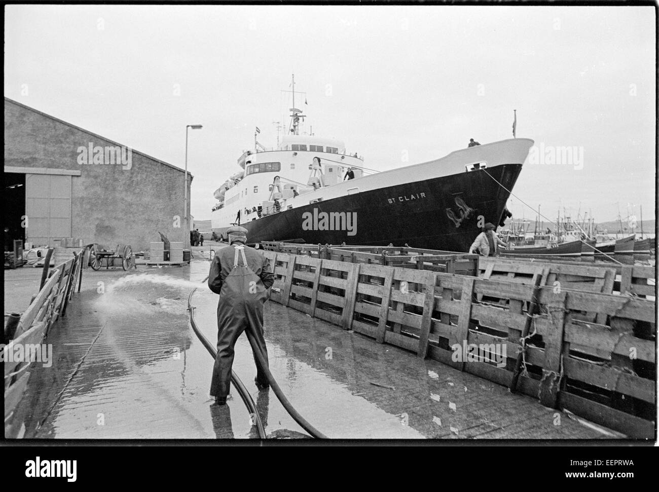 Livestock pens being cleaned in Lerwick harbour, with St Claire about to depart for Aberdeen. Stock Photo