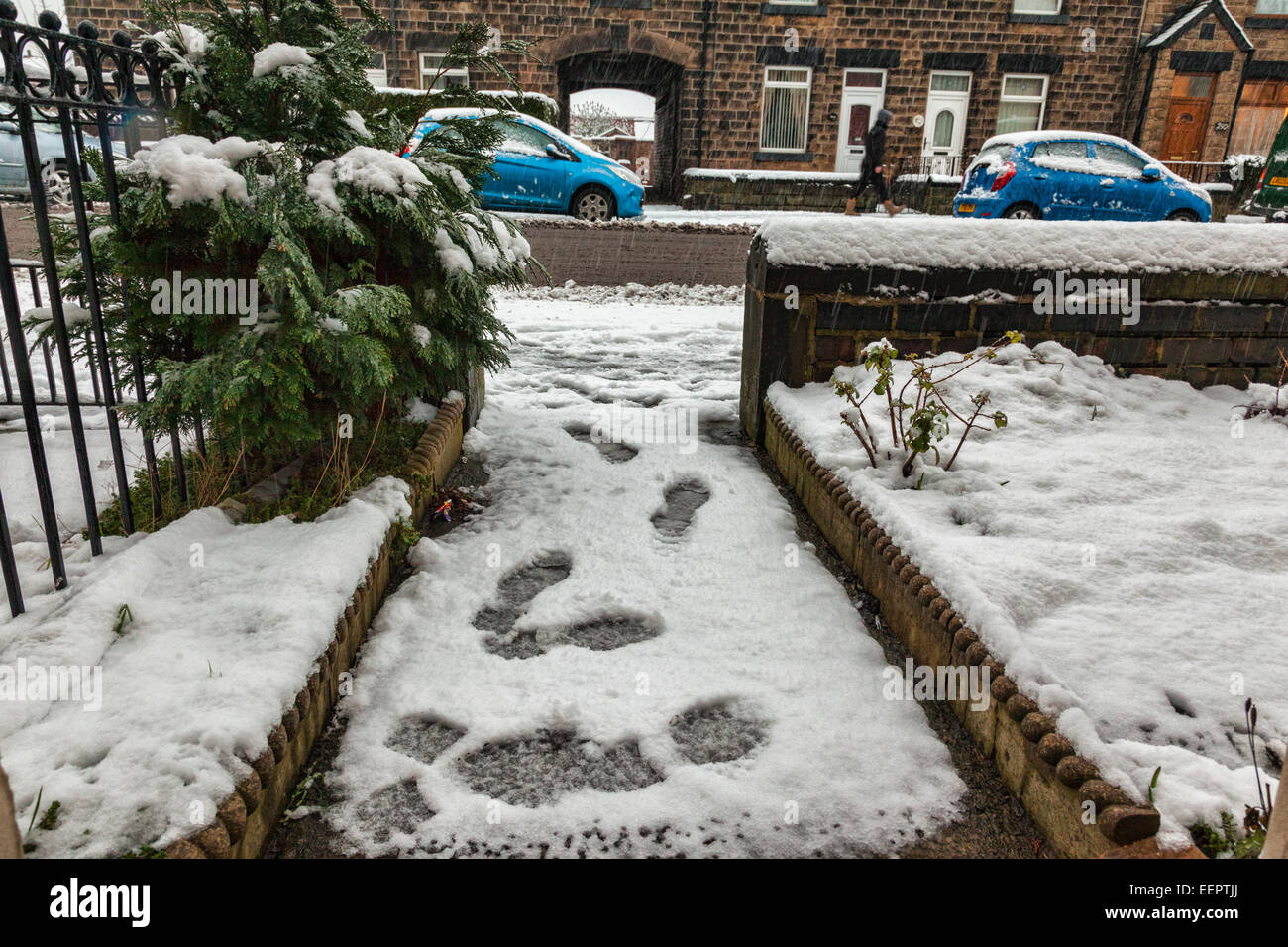 Wombwell lane hires stock photography and images Alamy