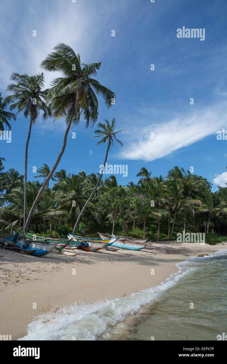 Sri Lankan fishing boats on sandy beach with coconut palm trees. Rocky Point, Tangalle, Southern Province, Sri Lanka, Asia. Stock Photo