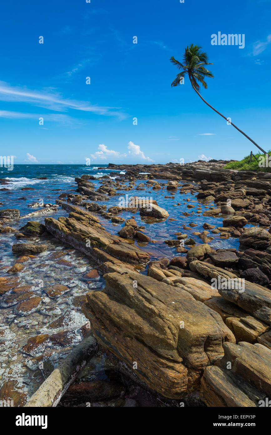 Tropical rocky beach with coconut palm trees and lined metamorphic landforms. Southern Province, Sri Lanka, Asia. Stock Photo