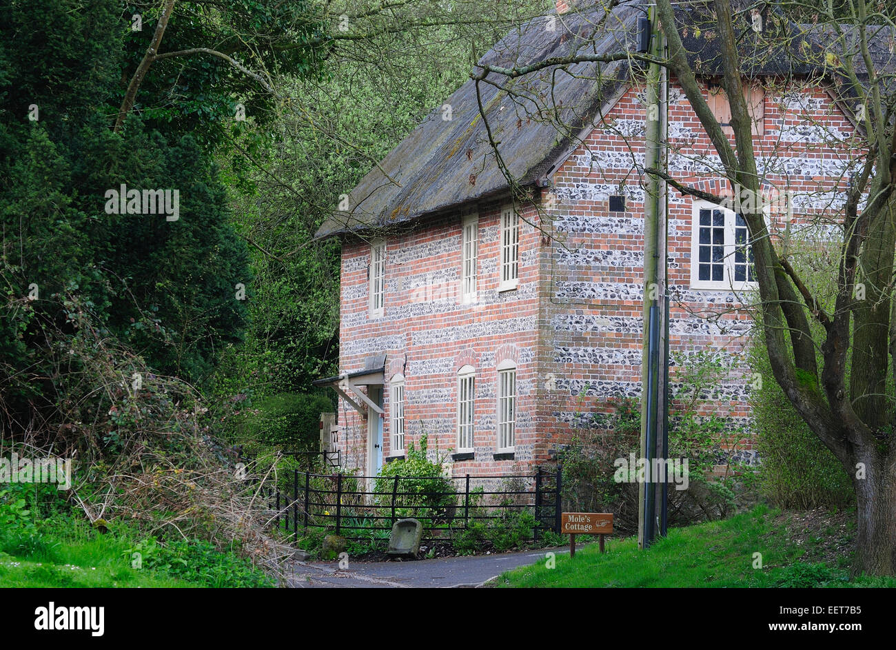 Thatched Cottage At Farnham Village Dorset Uk Stock Photo