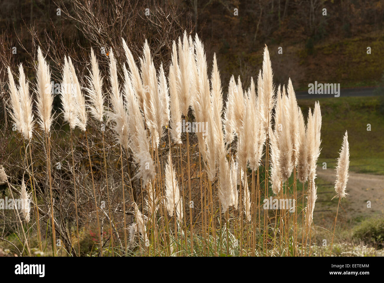 View of 27 Beautiful Villages and Small Towns in France Worth a Detour