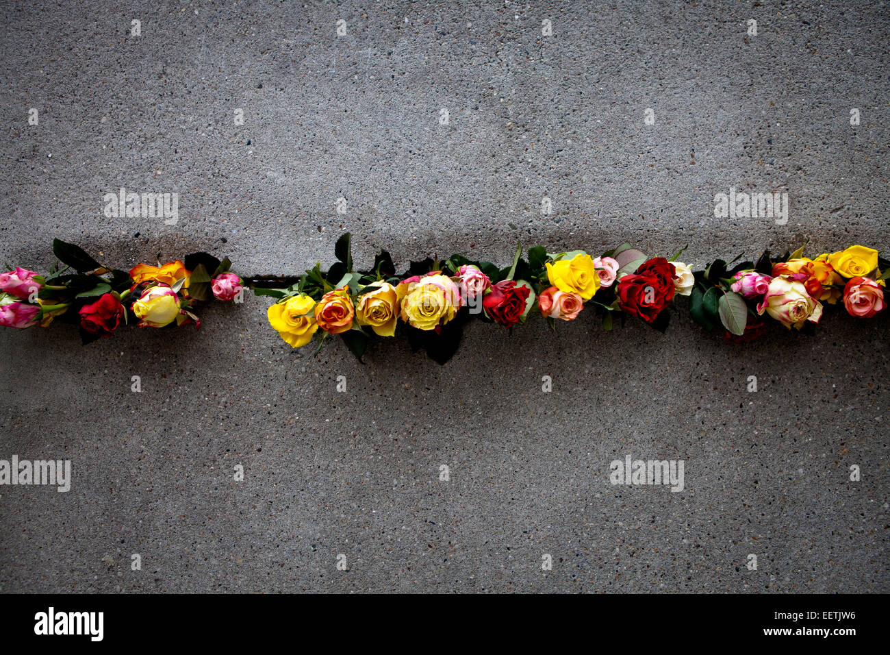 Flowers placed in the Berlin Wall during 25th commemoration of its fall Stock Photo