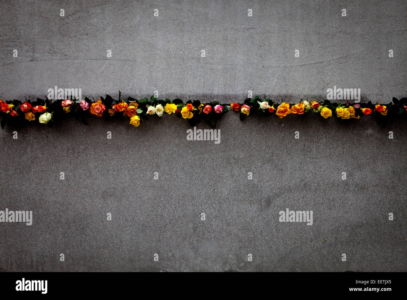 Flowers placed in the Berlin Wall during 25th commemoration of its fall Stock Photo