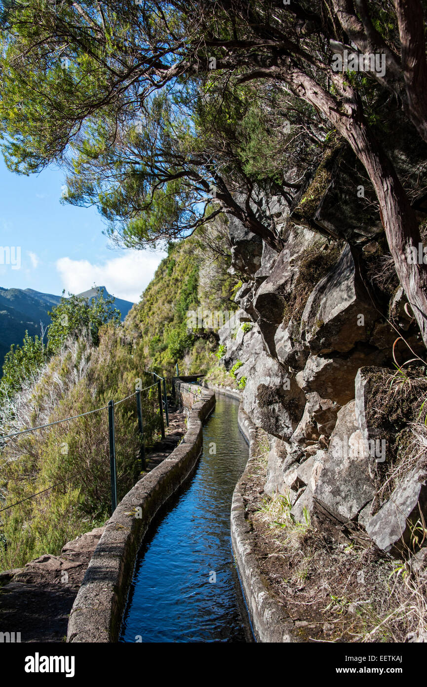 Levada Irrigation Canal and Footpath near Rabacal, Madeira Stock Photo ...