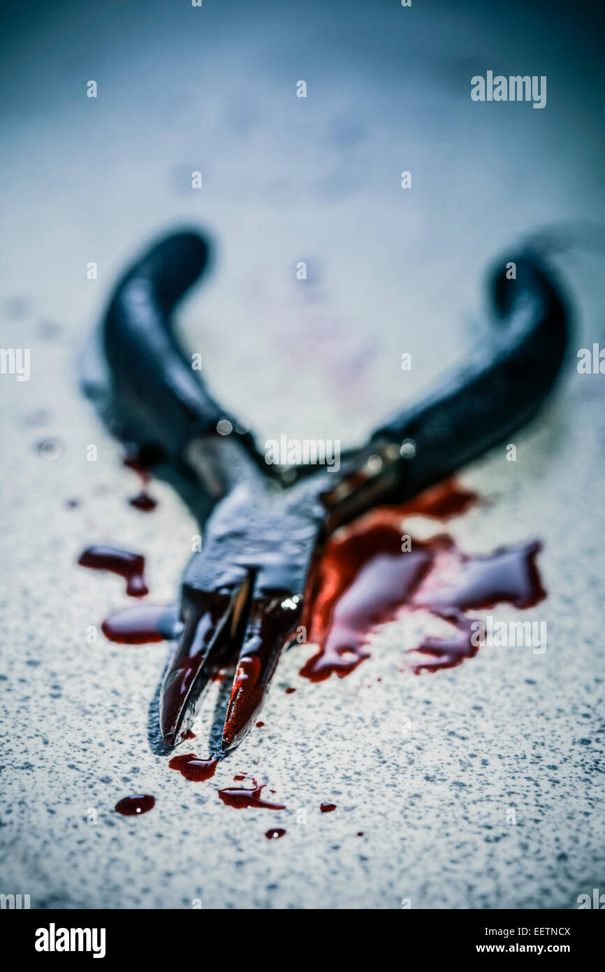 Pliers covered with blood. Stock Photo