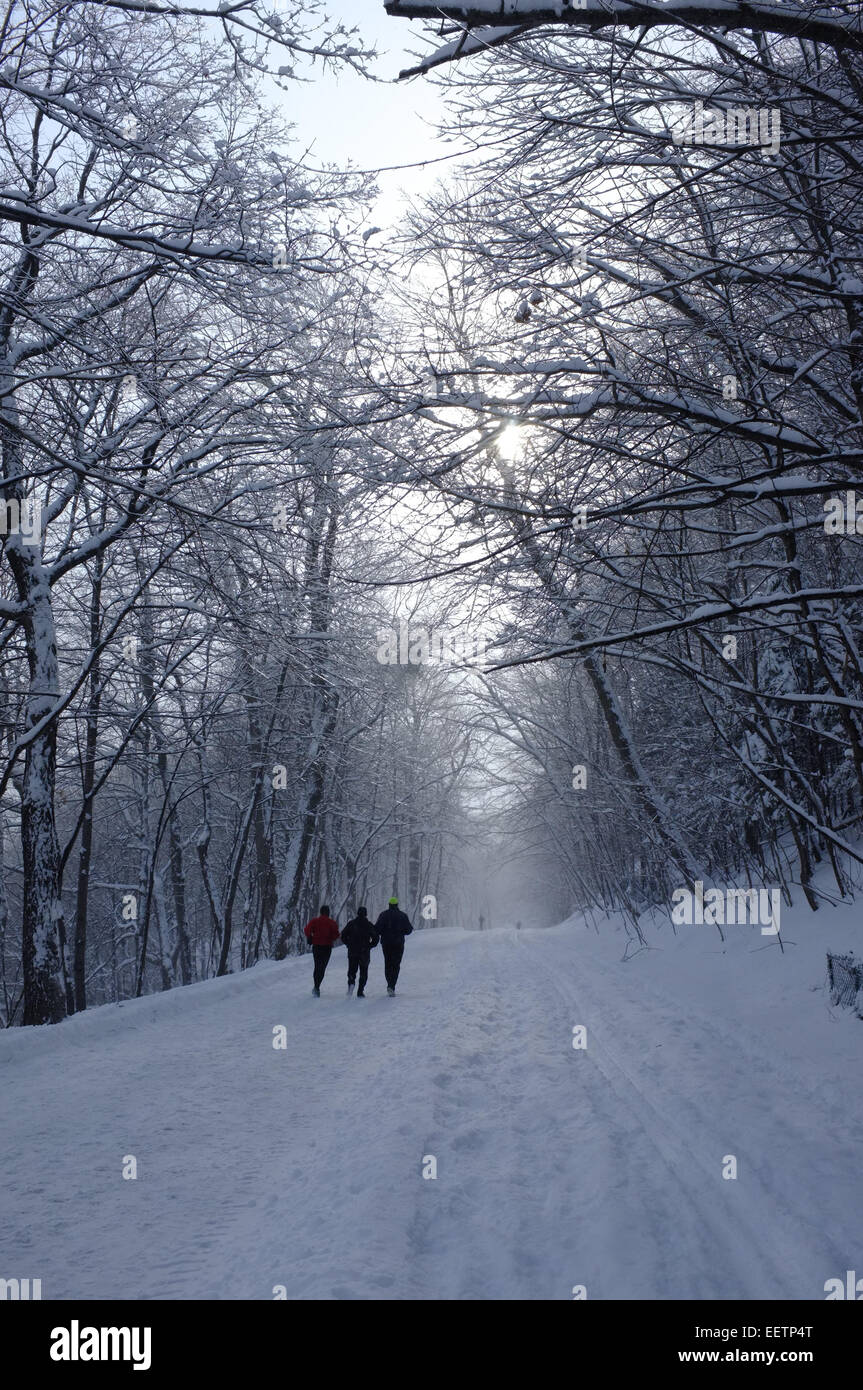 snow, mont royal, montreal, runners,winter,running Stock Photo Alamy