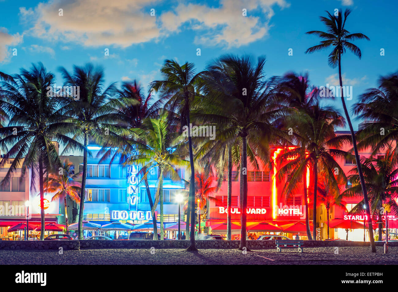 MIAMI, FLORIDA - JANUARY 24, 2014: Palm trees line Ocean Drive. The road is the main thoroughfare through South Beach. Stock Photo
