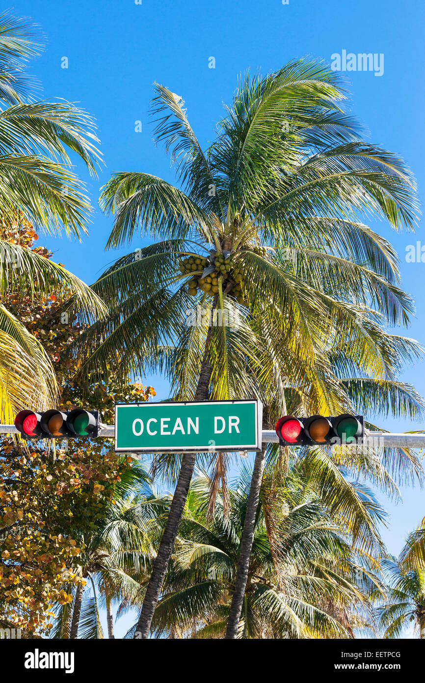 Famous Ocean Drive street sign with palm tree in Miami Beach Stock Photo