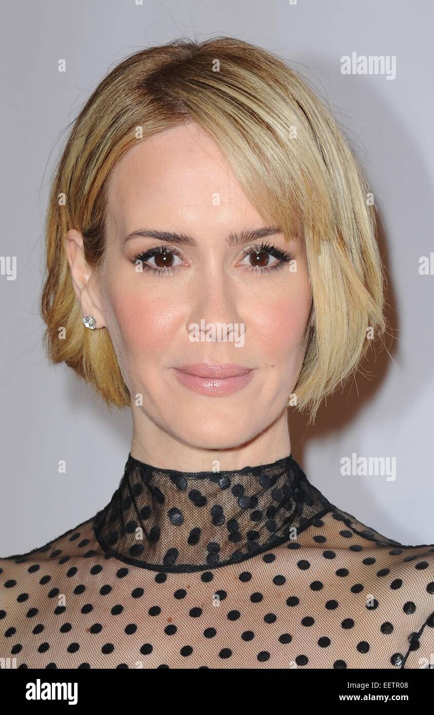 Sarah Paulson Climbs Museum