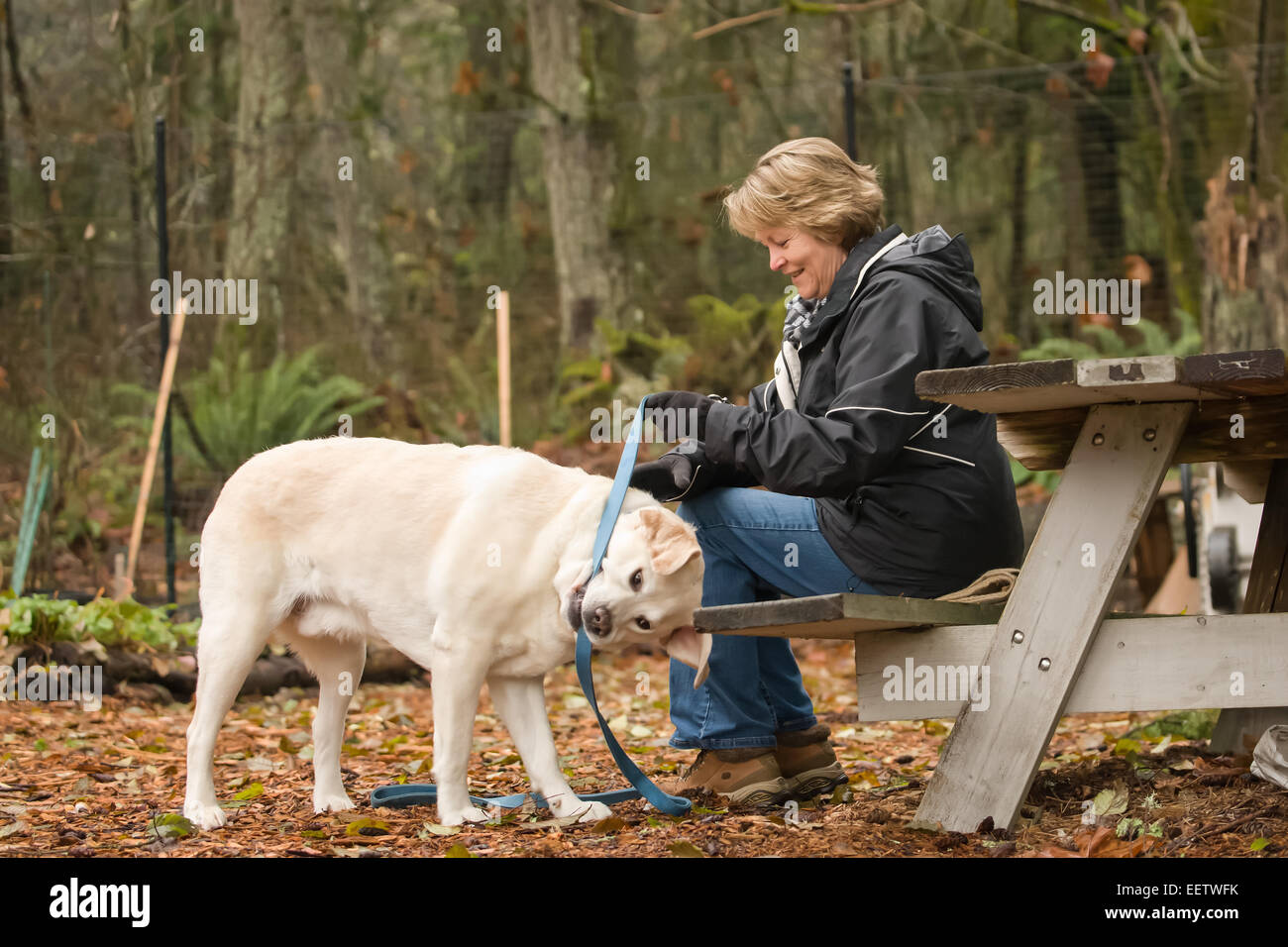 Dog biting leash hires stock photography and images Alamy
