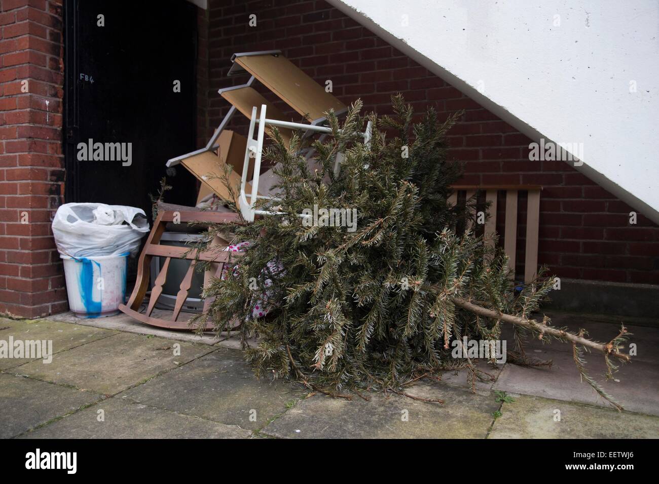 Tree tipping over hires stock photography and images Alamy