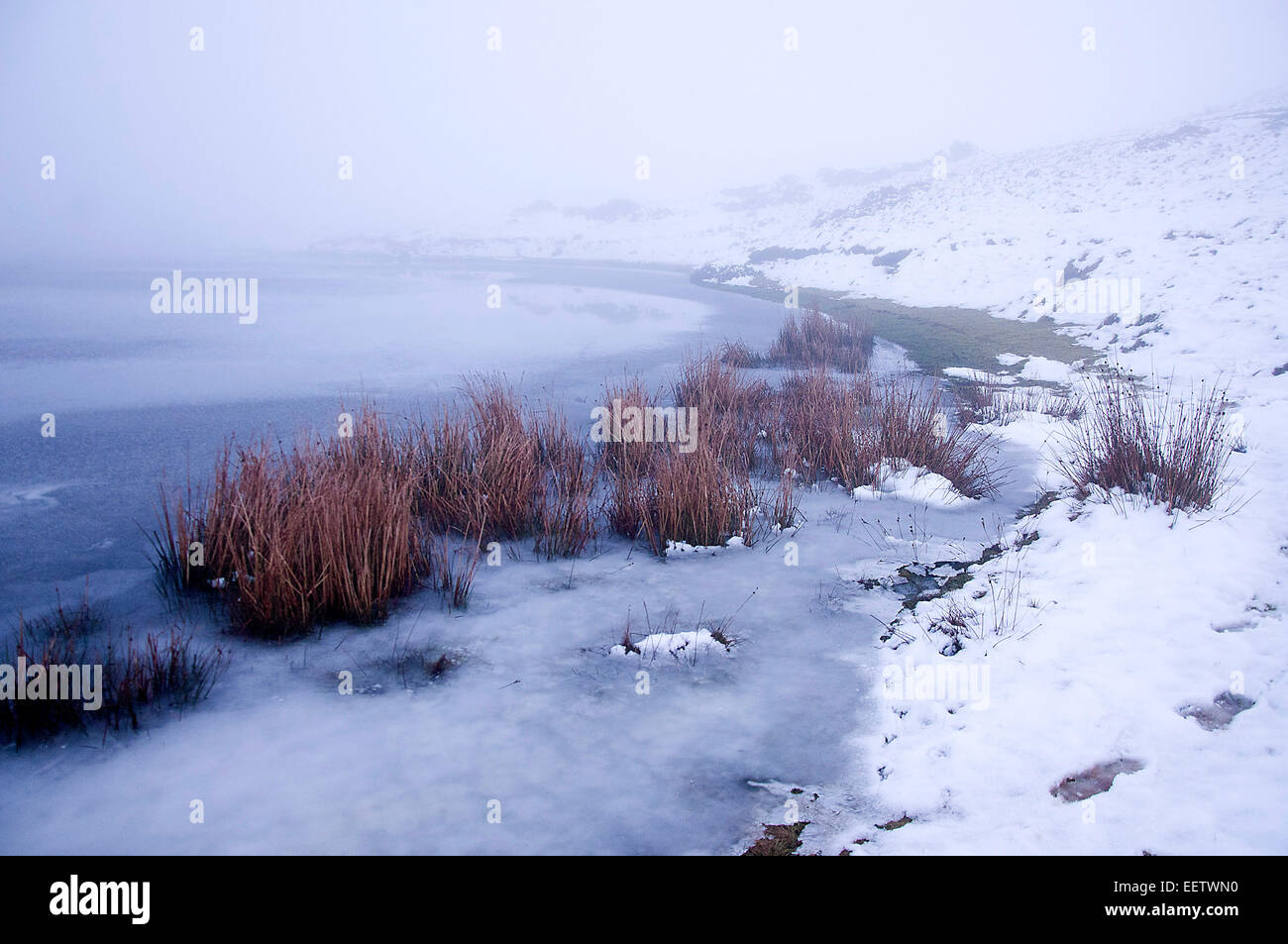 Mynydd Epynt, Powys, UK. 21st January, 2015. UK weather.  A partly frozen lake is seen through the fog descending on the Epynt moorland in Powys. Credit:  Graham M. Lawrence/Alamy Live News. Stock Photo
