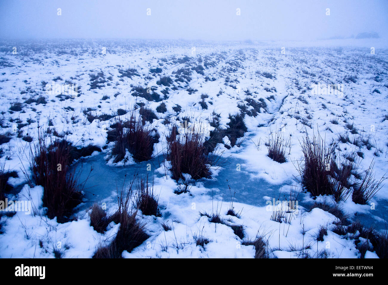 Mynydd Epynt, Powys, UK. 21st January, 2015. UK weather.  A frozen puddle is seen through the fog descending on the Epynt moorland in Powys. Credit:  Graham M. Lawrence/Alamy Live News. Stock Photo