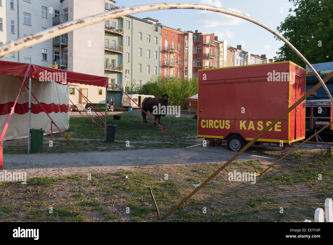 camel circus kasse Berlin Germany Stock Photo