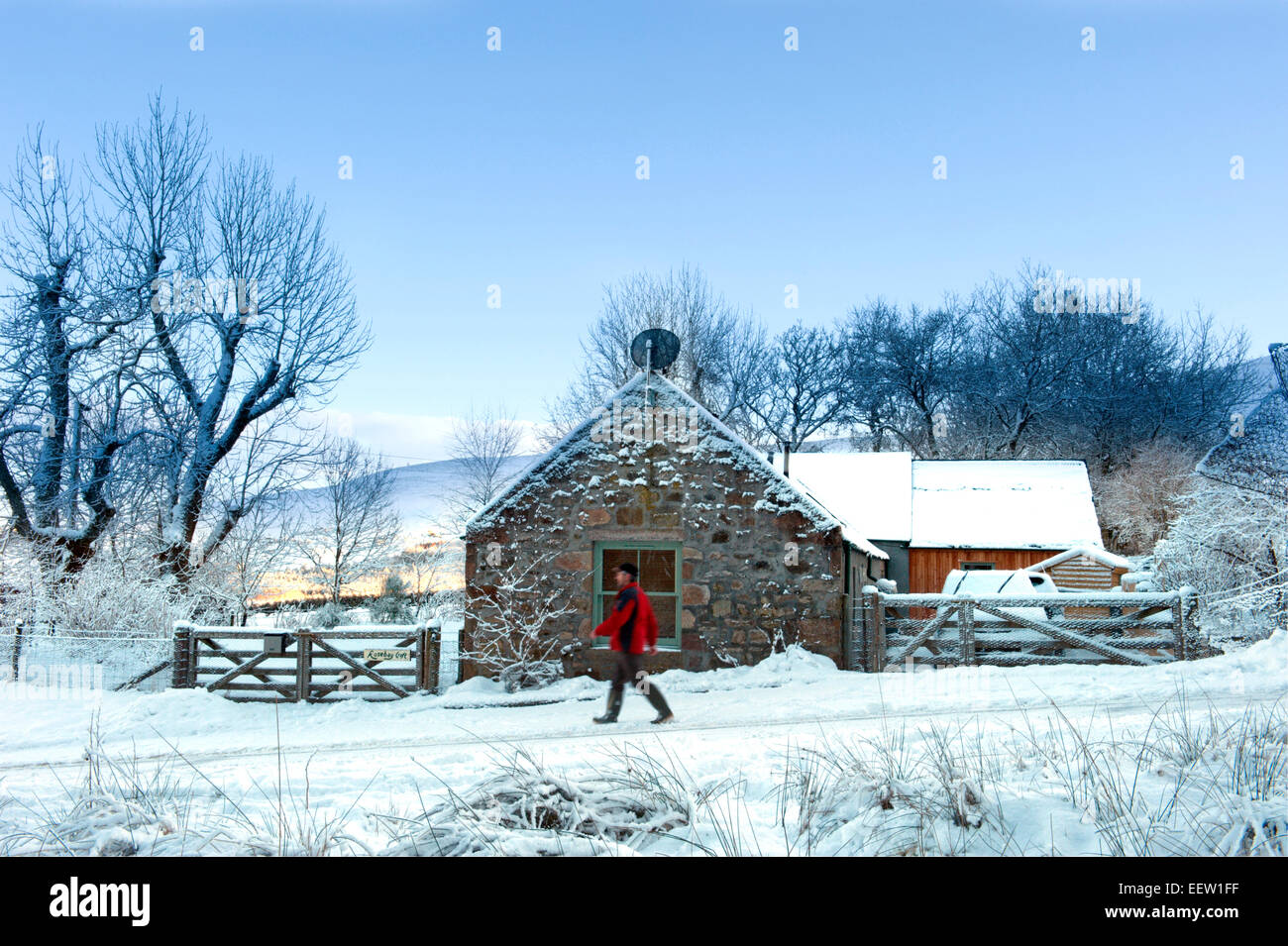 a lone walker passes a converted croft in Scotland covered in winter snow Stock Photo