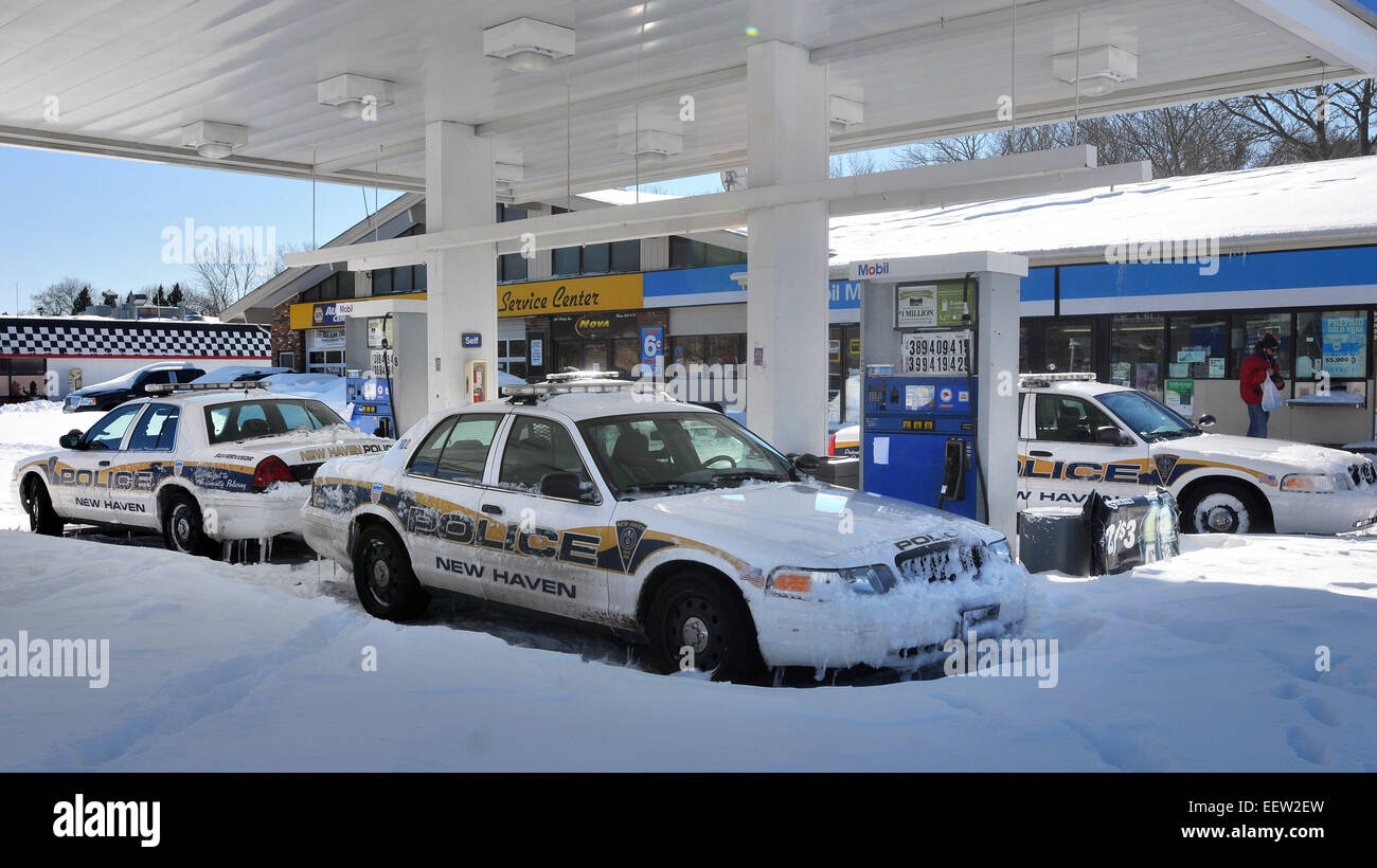 New HavenNew Haven police cars left during the storm along Whalley