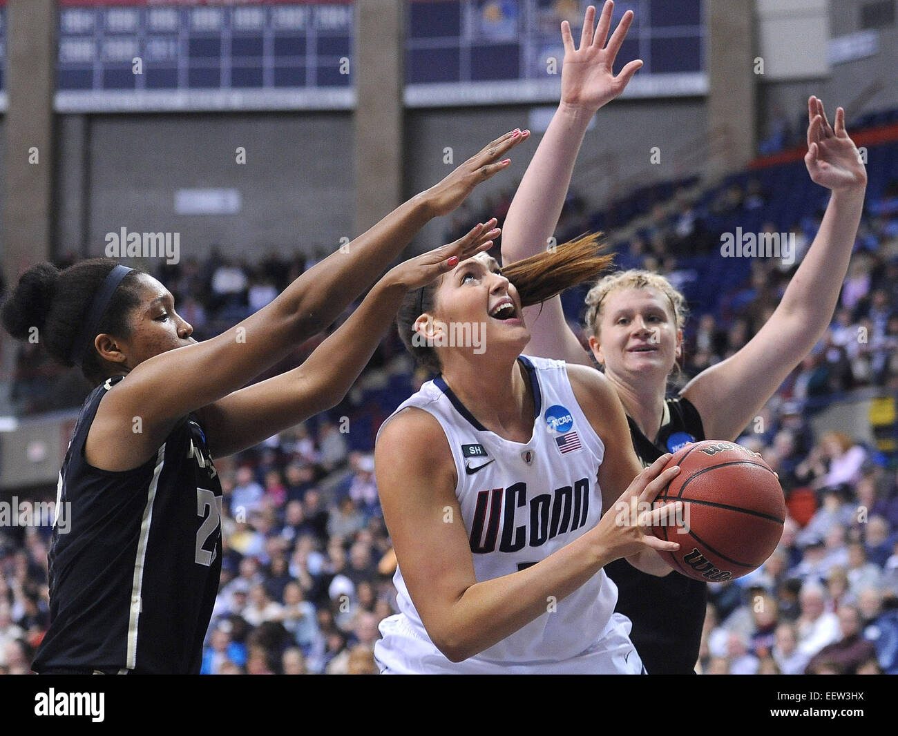 Storrs CT USA-- NCAA Division I Women's Basketball Championship. UCONN's Stefanie Dolson looks for room under the basket as Vanderbilt's Morgan Batey, left, and Kendall Shaw defend during first half. Stock Photo