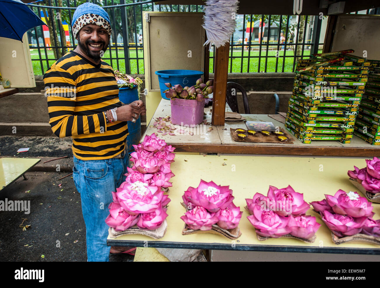 A man selling lotus flowers outside a Buddhist temple in Kandy, Sri Lanka. Stock Photo