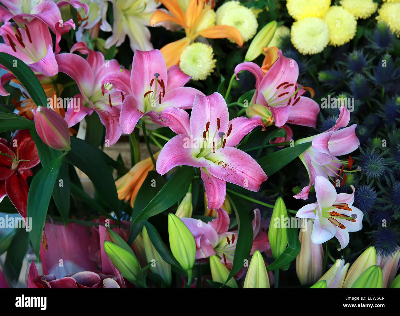 Bouquet wallpaper hi-res stock photography and images - Alamy