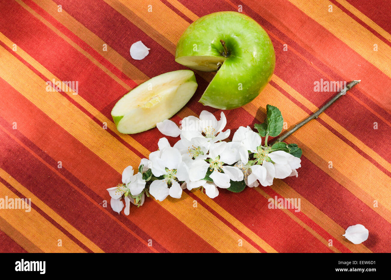 Green apple with a branch of a blossoming apple-tree Stock Photo - Alamy