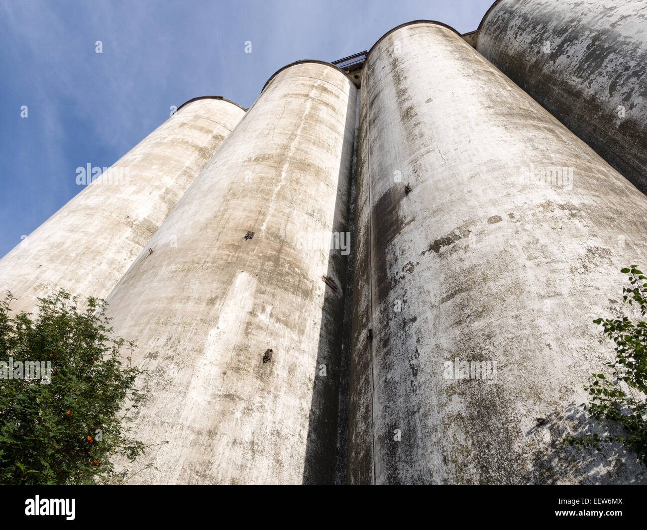 Abandoned Collingwood Terminal Silos. This huge silo complex dominates