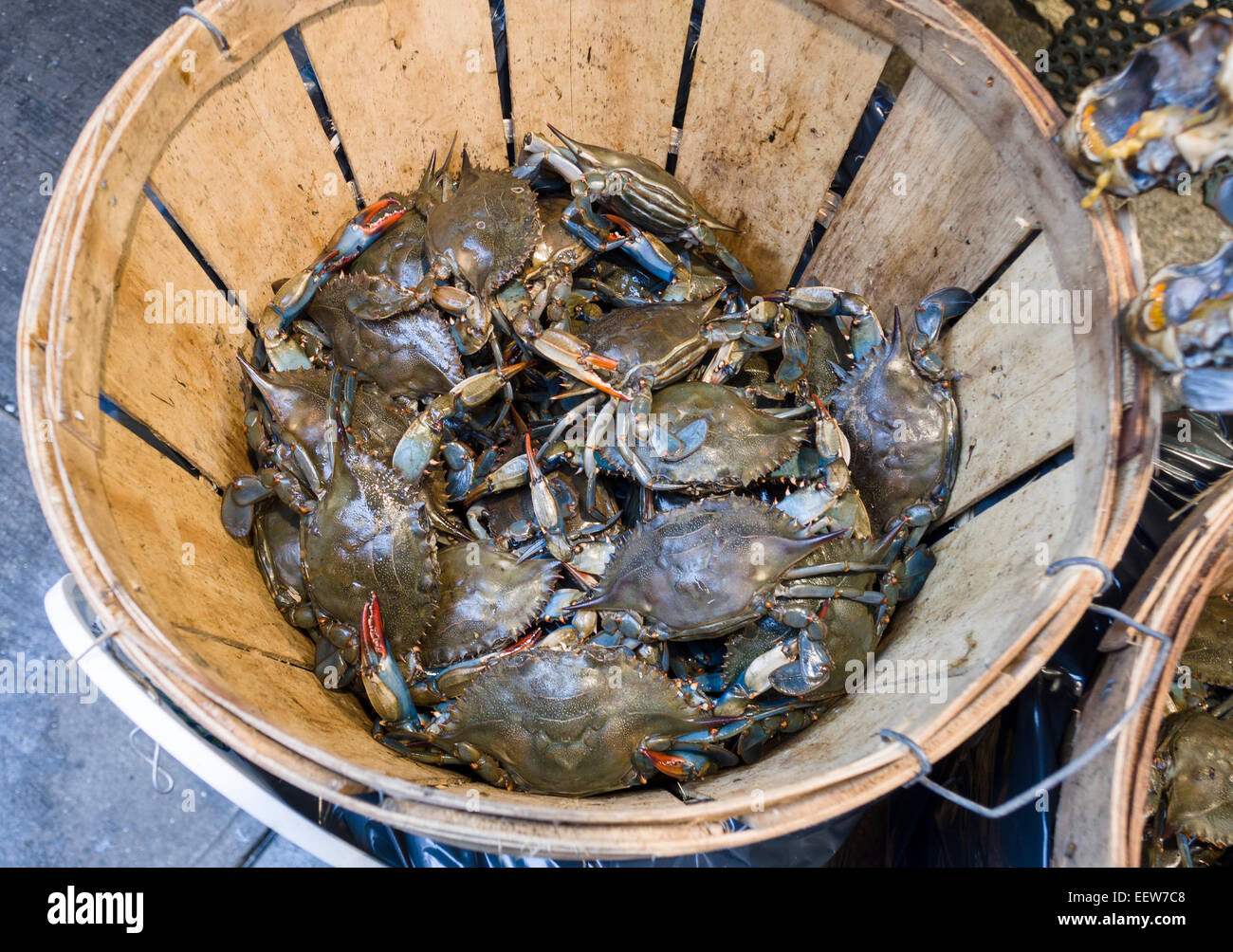 Lots of crabs hires stock photography and images Alamy