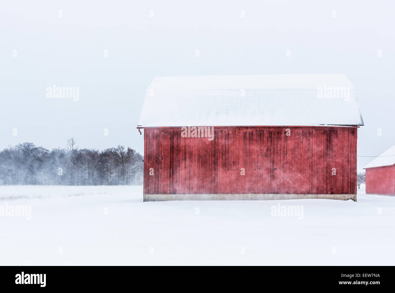 Driven By Winter Wind >> Wind Driven Snow Stock Photos Wind Driven Snow Stock Images Alamy Driven By Winter Wind >> Wind Driven Snow Stock Photos Wind Driven Snow Stock Images Alamy