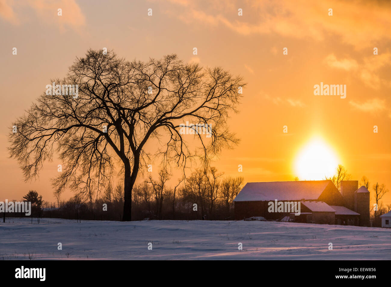 Amish farm hires stock photography and images Alamy