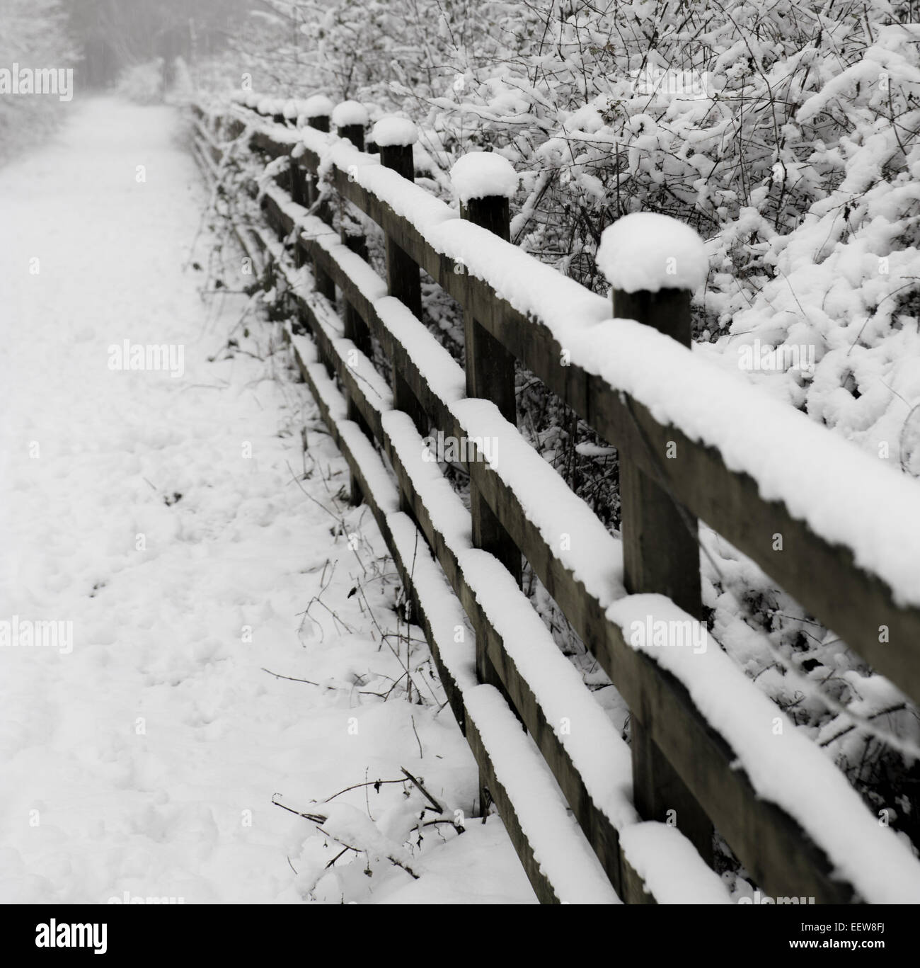 Winter snow fence, fence post, footpath, wooden Stock Photo