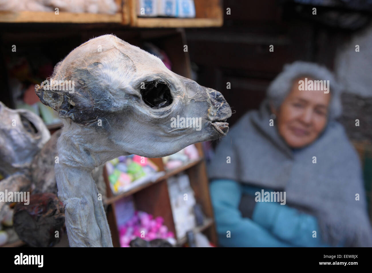 Peru, Chiclayo, Witchcraft, Shaman market. Spider monkey Stock Photo - Alamy