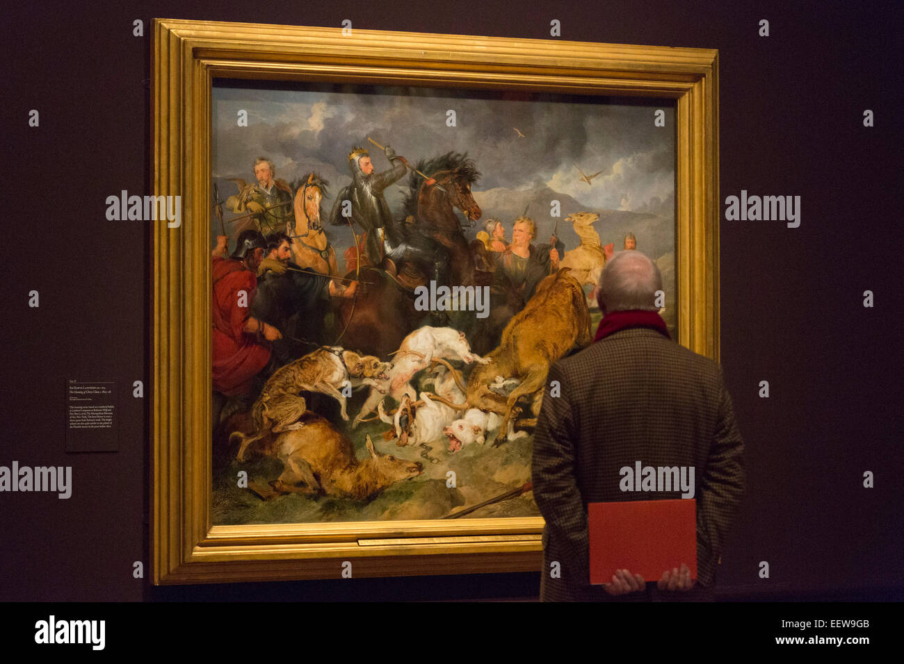 London, UK. 20 January 2015. A visitor to the exhibition stands in front of the painting 'The Hunting of Chevy Chase', 1825-26, by Sir Edwin Landseer. The exhibition Rubens and His Legacy: Van Dyck to Cezanne is an exploration of the artistic legacy of Peter Paul Rubens, the most influencial of Flemish painters. The exhibition brings together masterpieces by Rubens and the artists who were inspired by him during his lifetime and up until the twentieth century. Rubens and His Legacy presents over 130 works, comprising paintings, drawings and prints. The exhibition runs at the Royal Academy of A Stock Photo