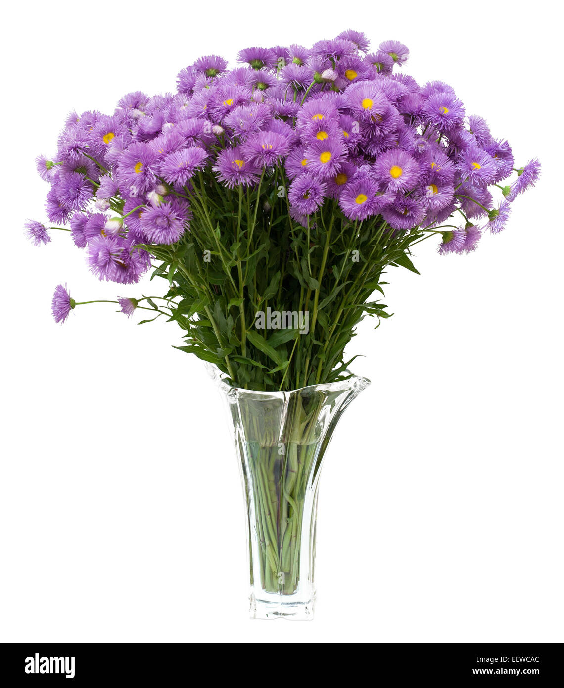 bouquet of wild flowers in a vase. isolated over white Stock Photo Alamy