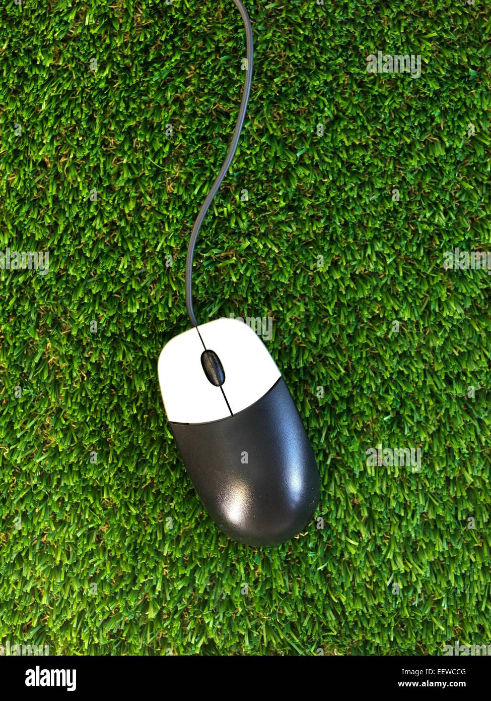 A close up shot of a computer mouse on artificial grass Stock Photo - Alamy