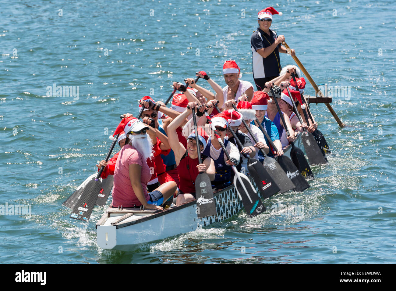 Dragon boat rowers in festive Santa Claus costumes rowing though the anchorage in Rozelle Bay, Port Jackson (aka Sydney Harbour) Stock Photo