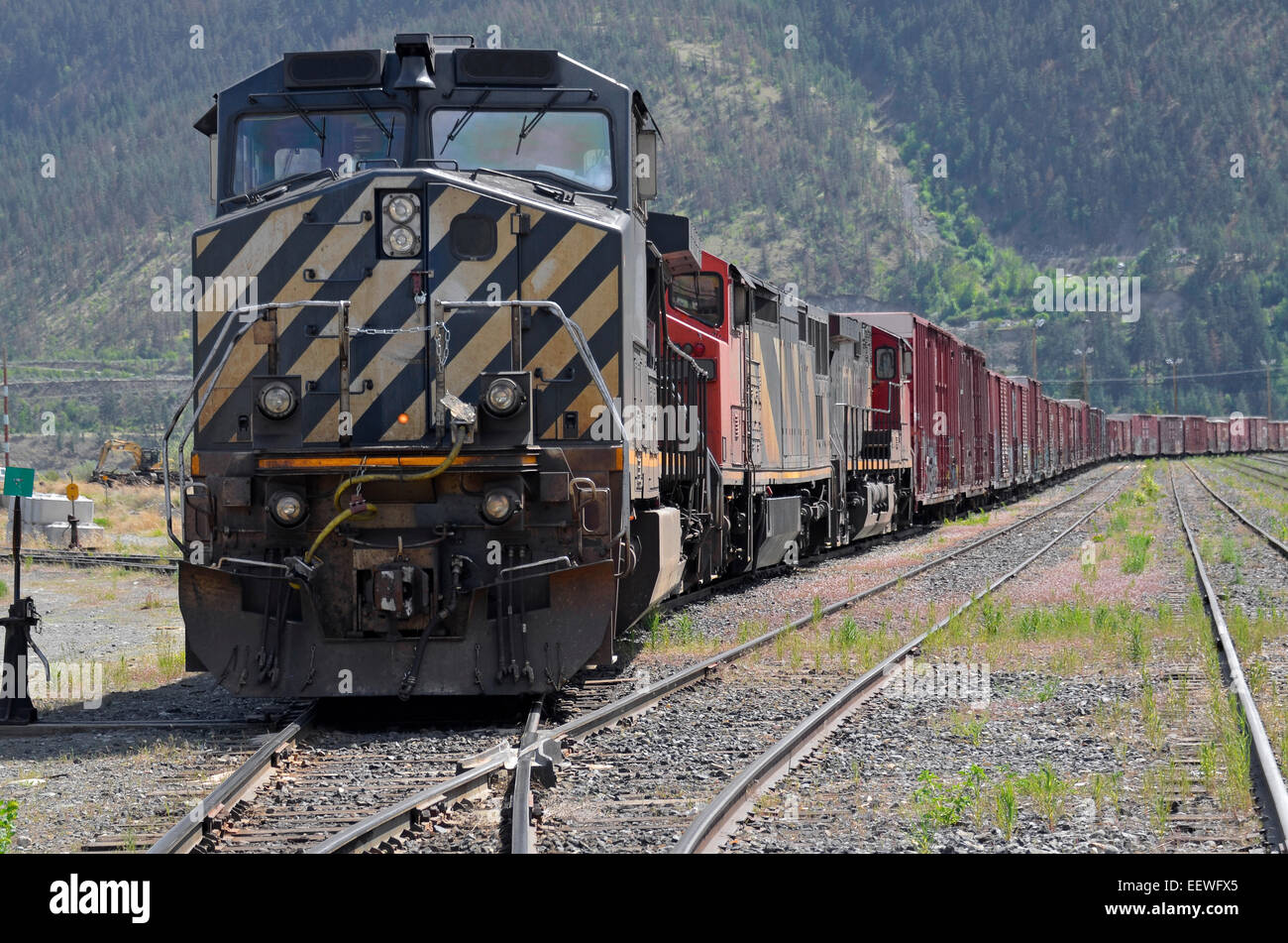 Long freight train with several diesel engines standing on railroad track Stock Photo