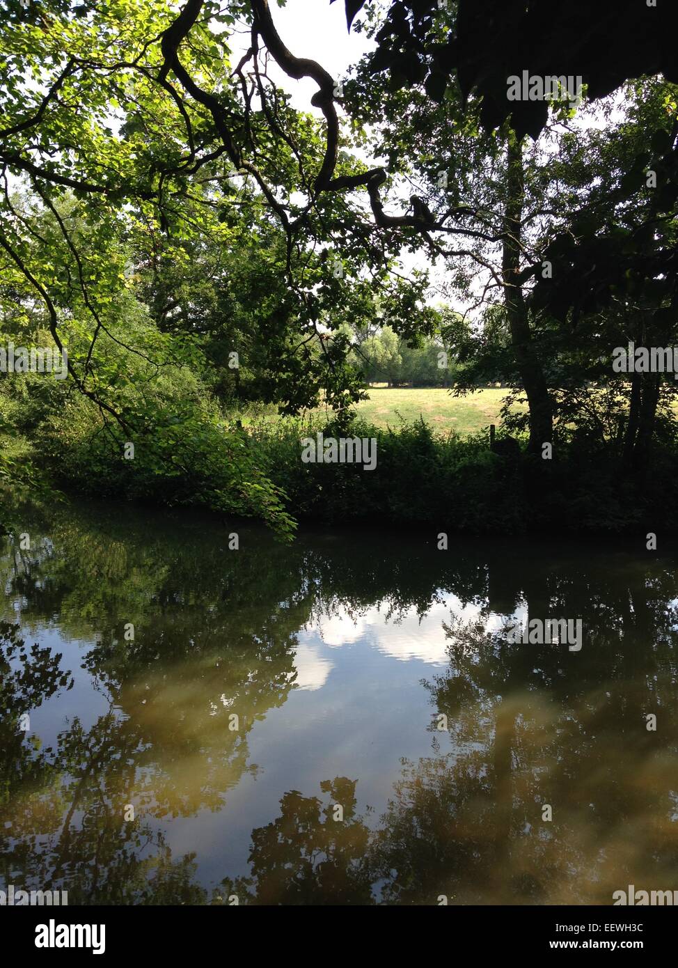 reflections in a lake Stock Photo - Alamy