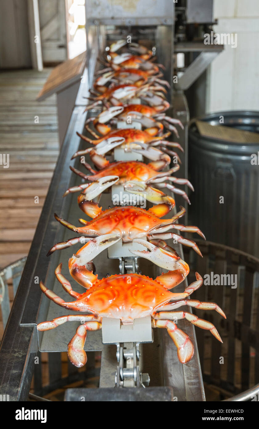 Maryland, Eastern Shore, St. Michaels, Chesapeake Bay Maritime Museum