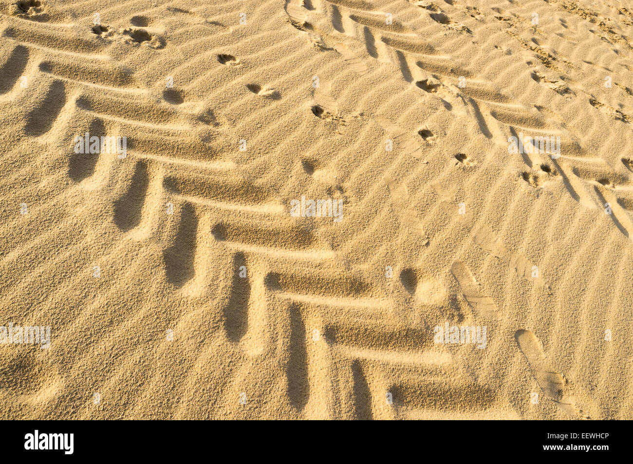Many tyre tracks and footprints on sand Stock Photo Alamy