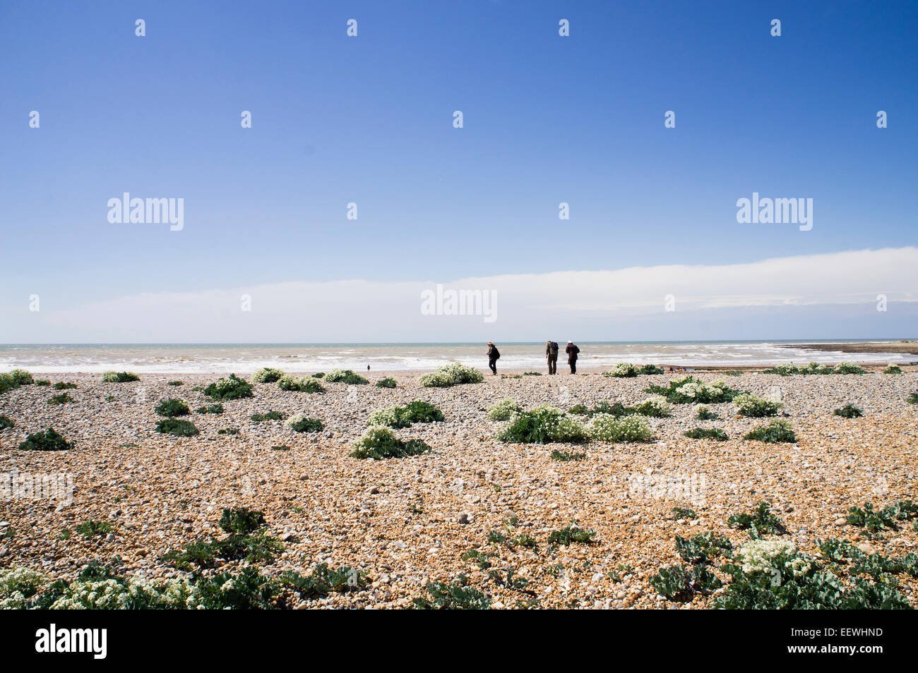 The Seven Sisters white chalk cliffs Stock Photo