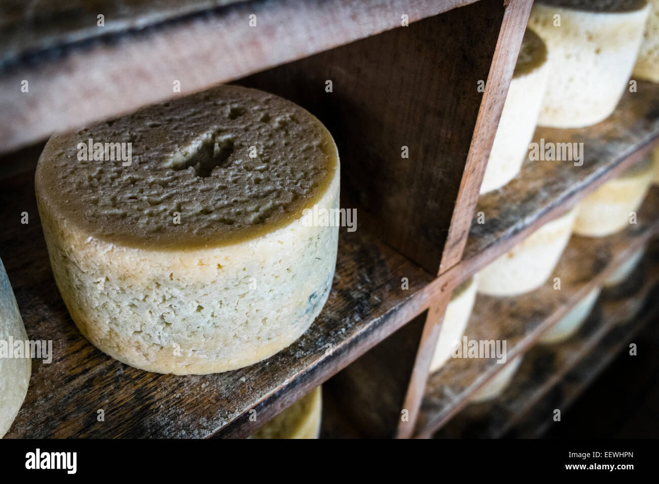 Quesería "Rogelio Lopez Campo", Cabrales cheese maker, Sotres, Asturias, Spain Stock Photo